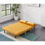 Donlon 2 Seater Velvet Sofa Bed-1056589922