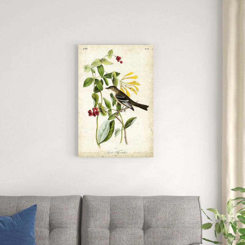 Audubon Bird & Botanical II, H 30 po x l 20 po x P 1,25 po