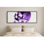 Gibbs Print-1514195462-1514195463