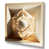 Wrapped Canvas