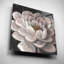 «Neutral Fleur I» par Tim O'Toole-1937182199
