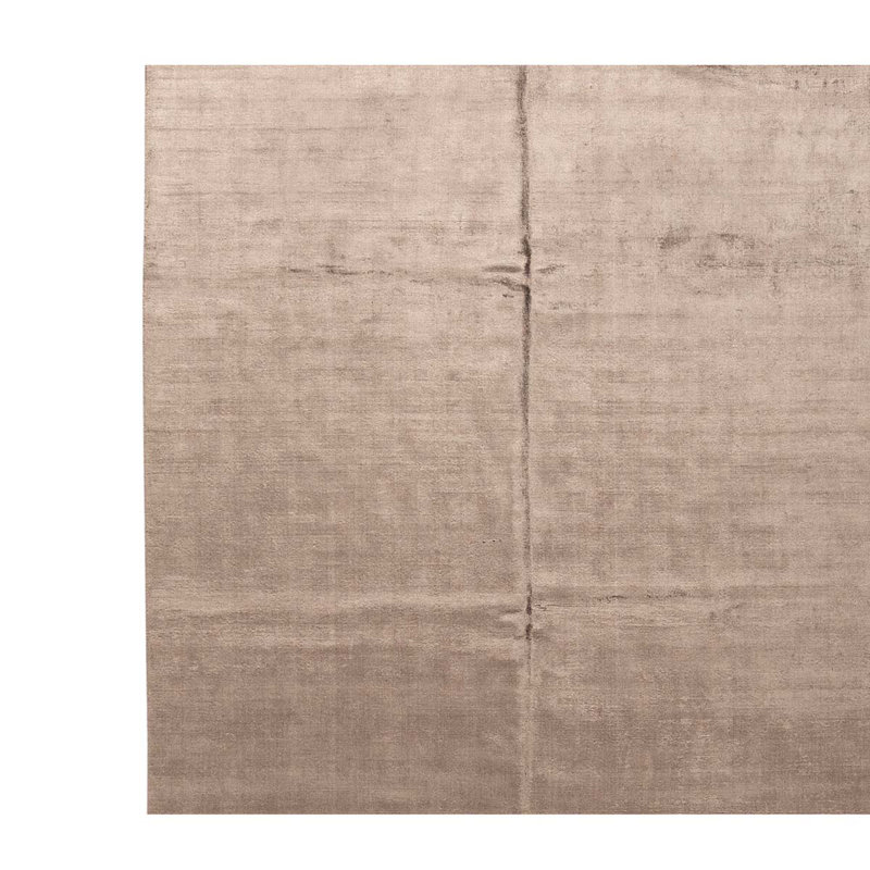 Area Rug in Beige