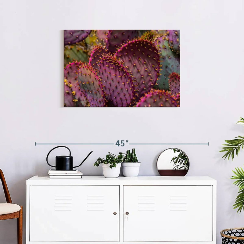 Harnek Angel Wing Cactus, 20" H x 30" W