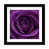 Blanc / aubergine / banane / brun clair / rouge br n'est pas disponible