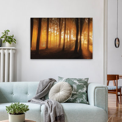 Nature's Glow - Forêt contemporaine au lever du soleil, rayons de soleil à travers les arbres, heure dorée, art des bois