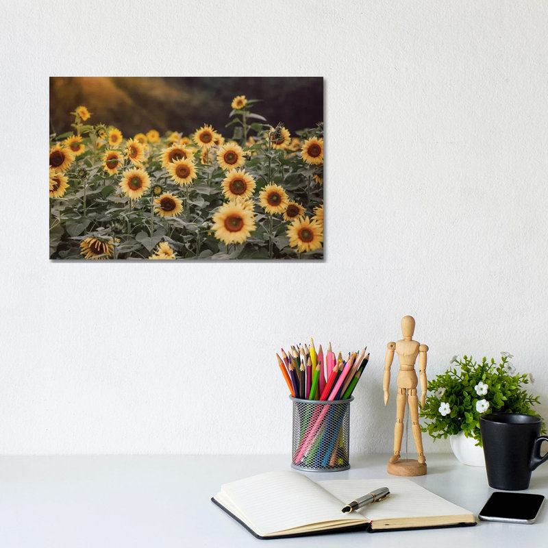 Field Of Gold I by Ann Hudec - Wrapped Canvas Print, 20.32 cm H x 30.48 cm W