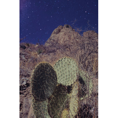 Prickly Stars by Nathan Larson - Wrapped Canvas Print