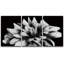 Flower Blossom «Black and White Chrysanthemum Flower», 3 pièces sur toile-98804081