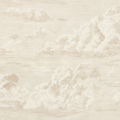 Cloud Toile Fabric