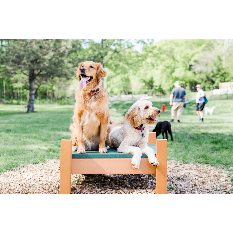 BarkPark 24'' H x 43'' W x 36'' D Plastic Dog Tabletop Grooming Table