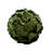 Jayceon 3" Real Preserved Decorative Pinecone and Magnolia Leaf Decorative Orbs Bowl Filler