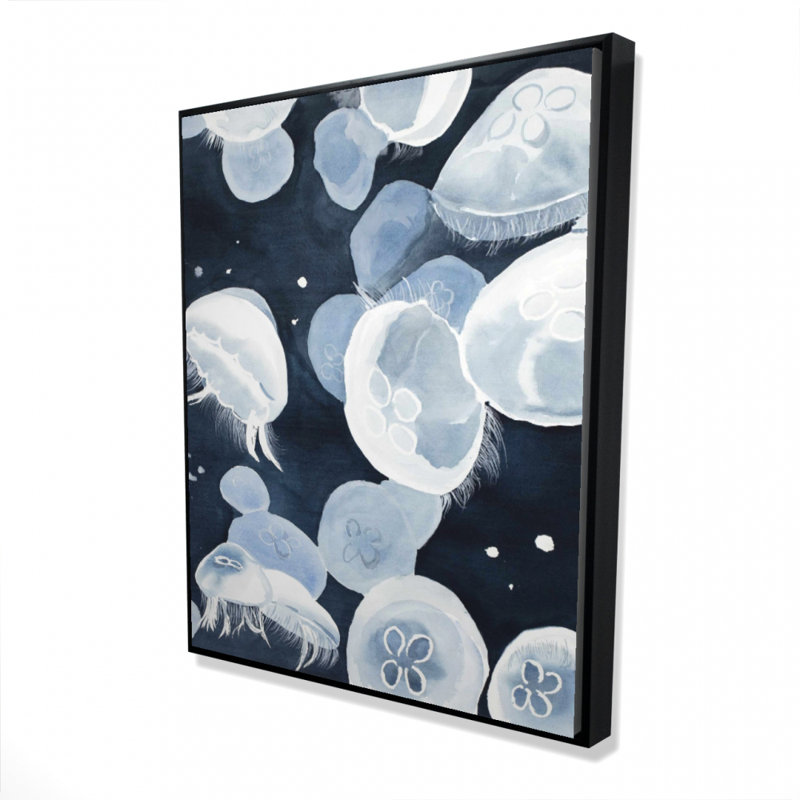 " Jellyfishs "