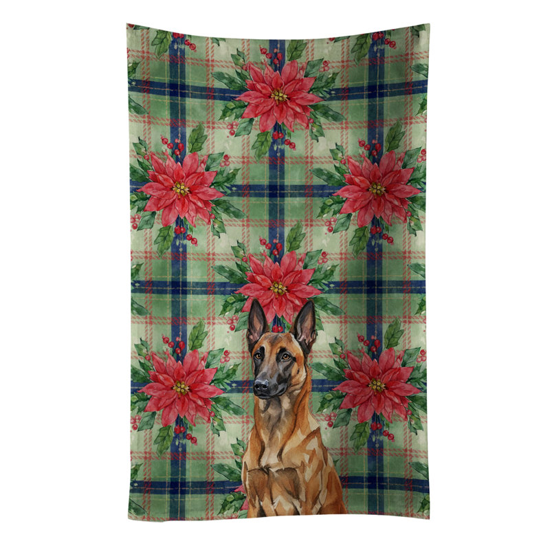Mahogany Belgian Malinois Christmas PoinsettIas Kitchen Towel, Mahogany Belgian Malinois