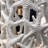 Aloysuis Elegant Starfish White Table Lamps - 3 Way Switch