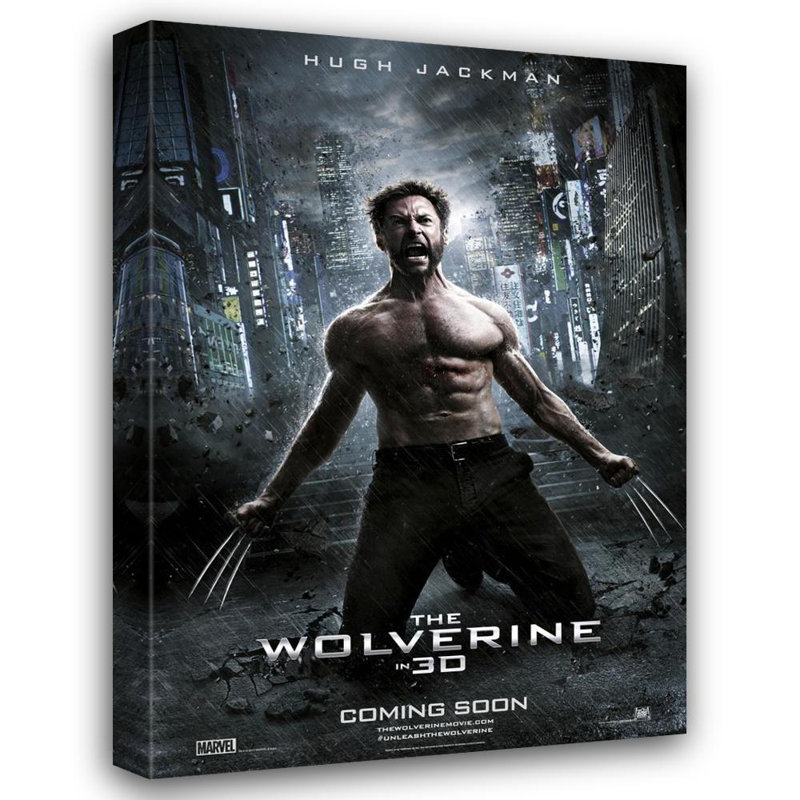 Le Wolverine, H 24 po x l 17 po