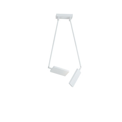 Birdwell 2 - Light LED Unique/Statement Pendant