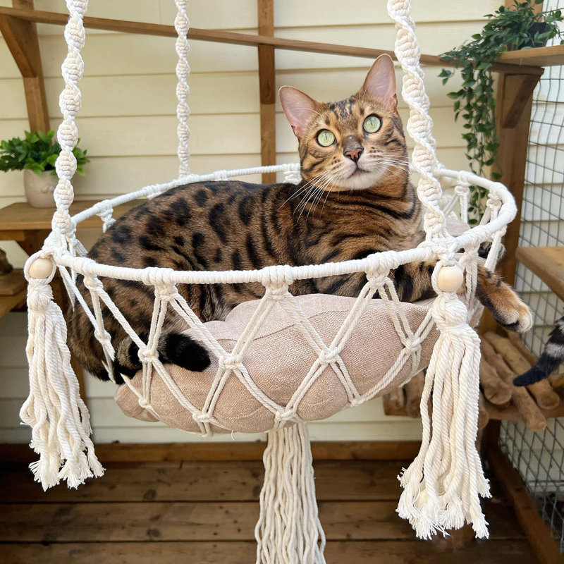 Emellie Bohemian Style Cat Hammock & Bed, Cat Swing with Hanging for Sleeping, Indoor/Outdoor Home Décor