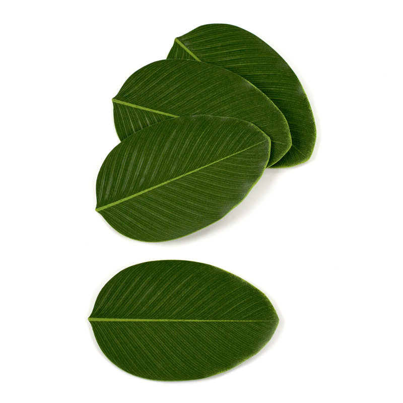 Sous-verres Fronds