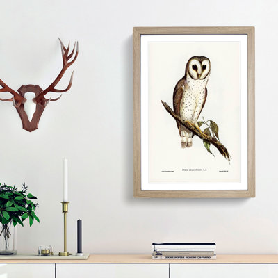 Delicate Owl by Elizabeth Gould - Picture Frame Painting Print