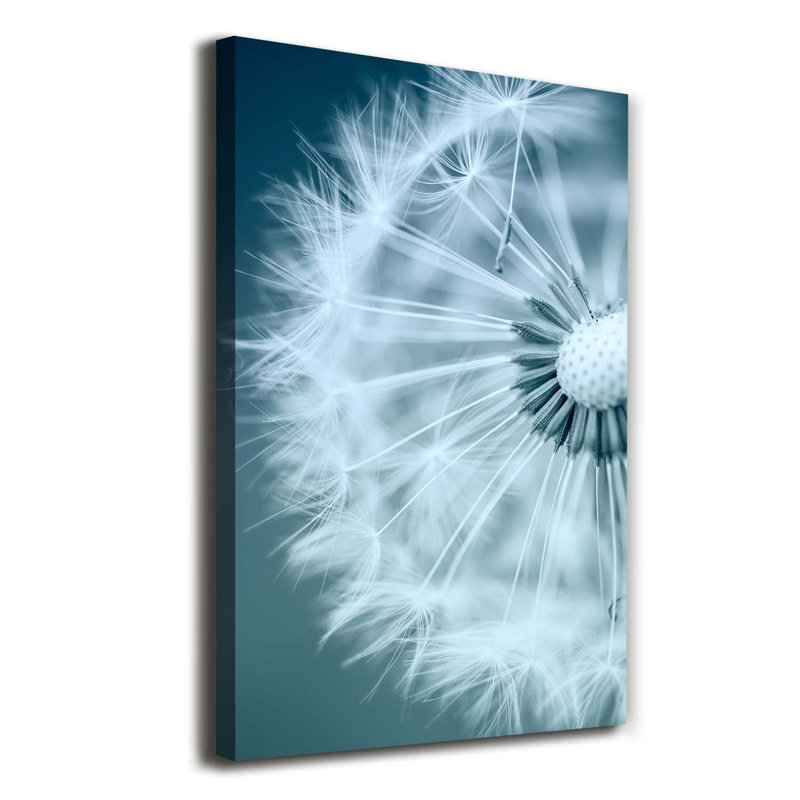 Dandelion - Wrapped Canvas Print