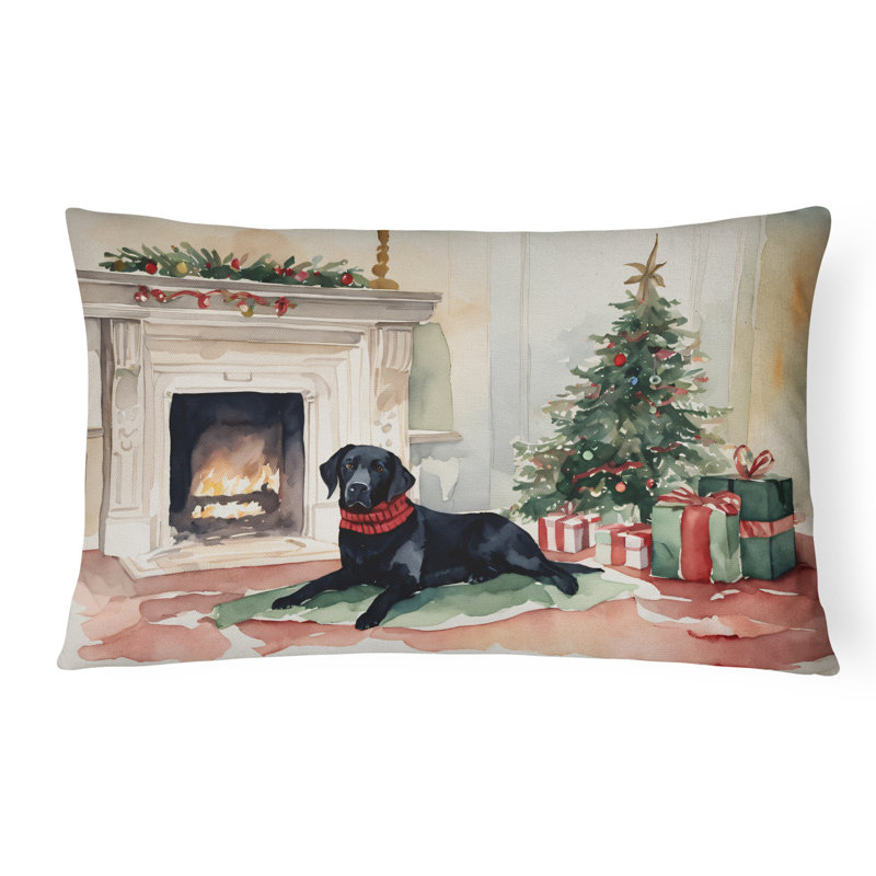 Other/No Pattern Outdoor Throw Pillow