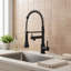 Pull-Down Sprayer Retractable Spring Kitchen Tap-136174841