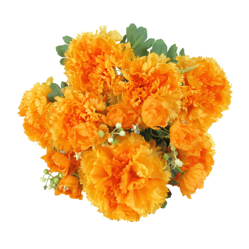 Oeillet, Jaune / orange