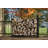 60'' W Metal Log Rack