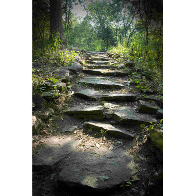 " Forest Path 2 "