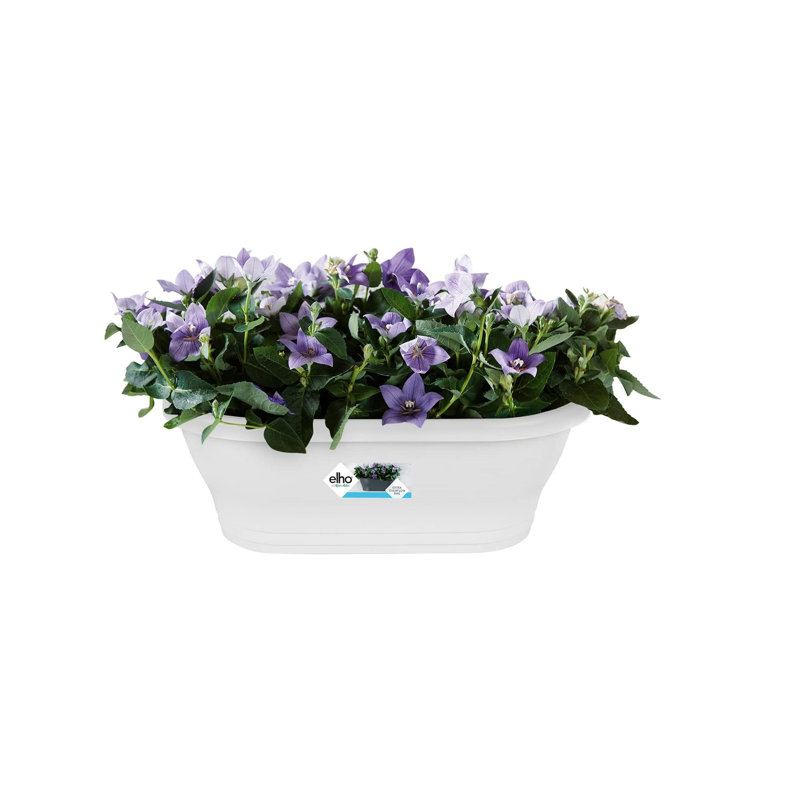 Wall Planter, White