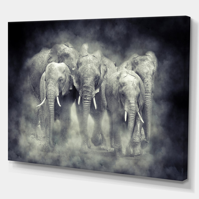 Éléphant dans le parc national de fumée-impression d’art graphique, Toile tendue, H 12 po x l 20 po x p 1 po