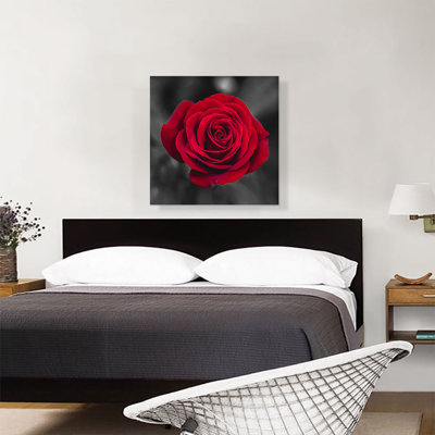" Red Rose Flower In Garden "