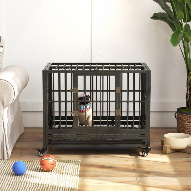 Cage pour chien en cage 36 po avec roues verrouillables, porte double et plateau amovible 36 po
