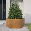 Alivya Metal Elevated Planter-1615744389-1611460449