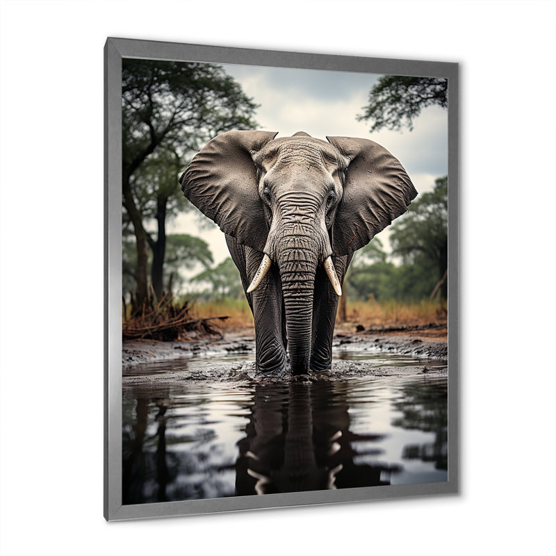 Bellatti Elephant Majestic Reflections - reproduction sur toile, H 20 po x l 12 po x P 1 po, Cadre photo argenté