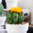 2.25'' Faux Cactus Succulent in Cement Pot