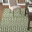 Tapis intérieur / extérieur vert / beige Adley Southwestern-217870503