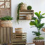 Set Of 2 6.5X6.5X6" Brown Cement Planter With Woven Tassel Accent