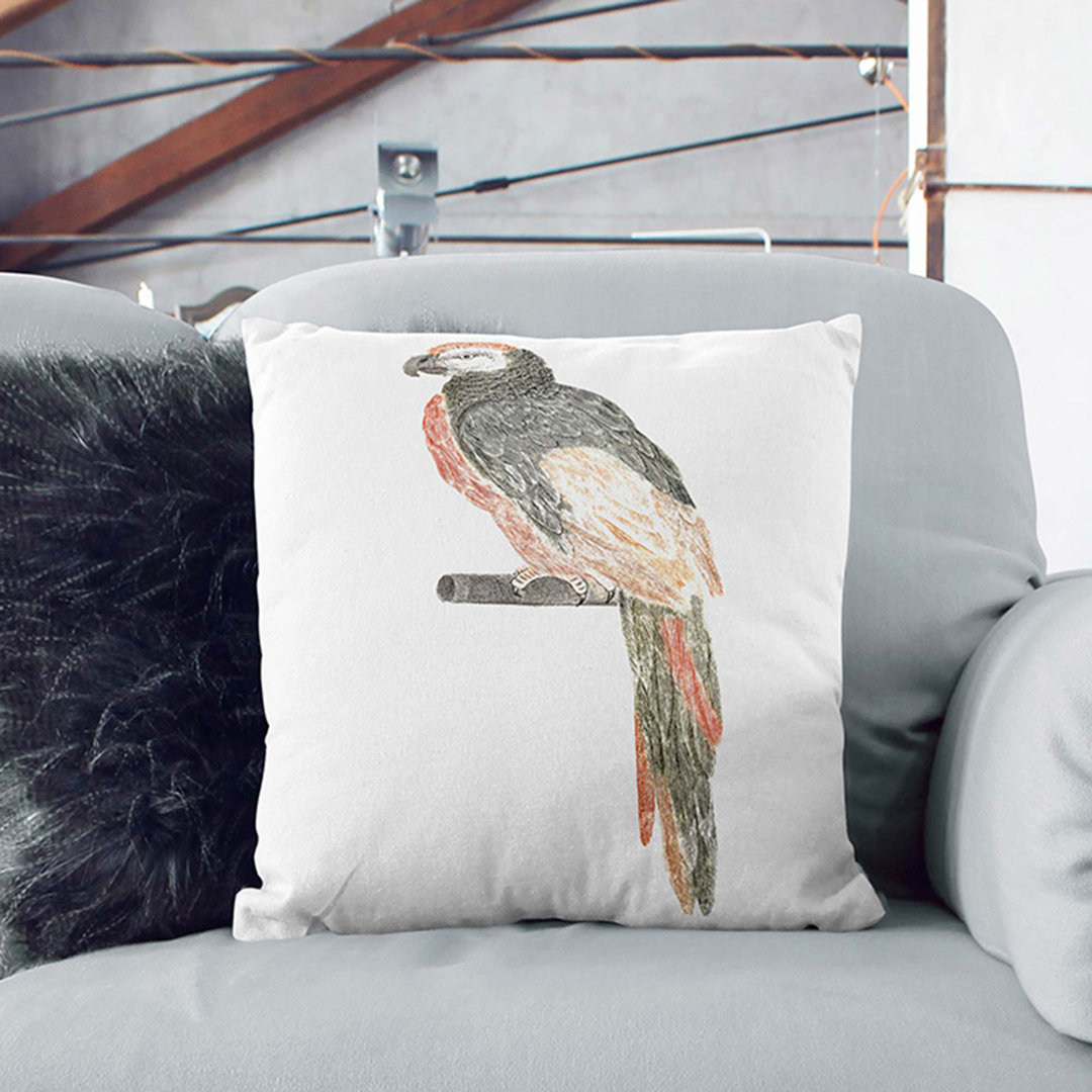 Illustration of a Parrot by Johan Teyler Cushion with Filling
