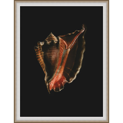 Wild Calm 4 Framed Print