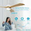 Ventilateur de plafond 52 po avec lumières DEL Kaphers-374101678-374101679