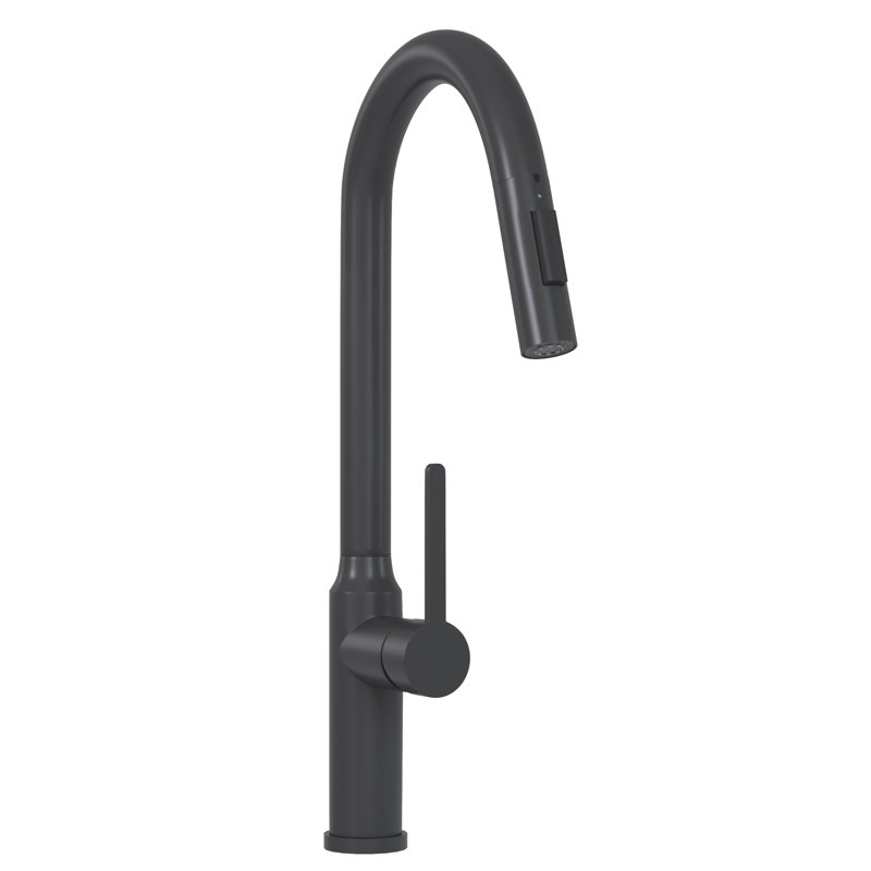 Robinet de cuisine moderne à passe-partout noir mat 18,9 po écoénergétique avec poignée Ss304