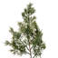 66'' in. Faux Garland