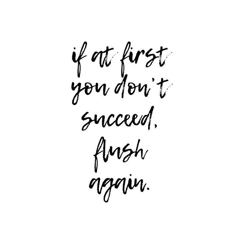 If At First You Dont Succeed Flush Again by Pixy Paper - Wrapped Canvas Gallery-Wrapped Canvas Giclée