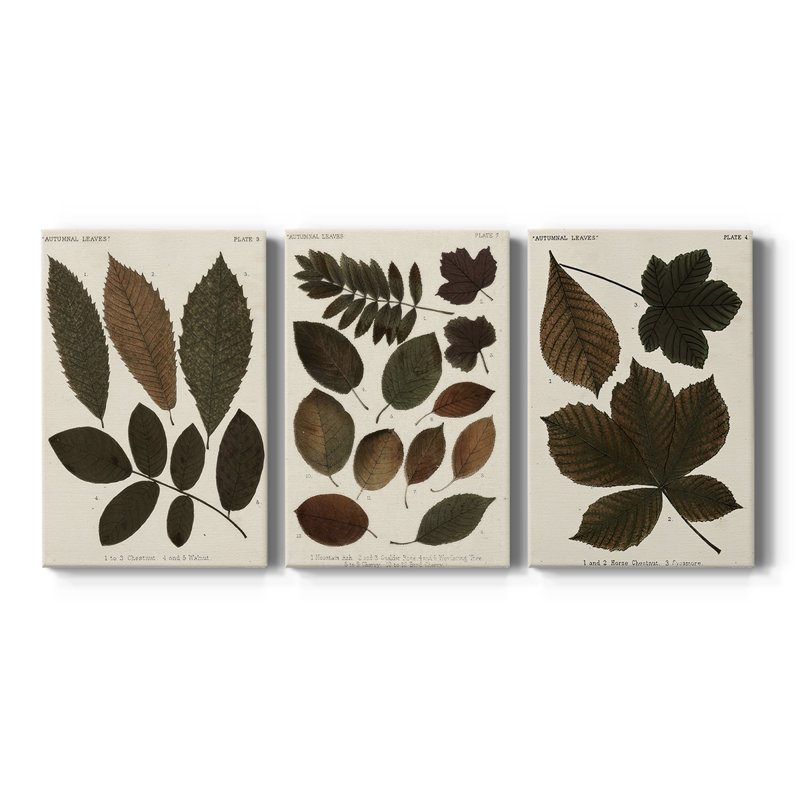 Autumnal Leaves I - Toile tendue avec châssis sur mesure - 3 pièces, H 27 po x l 54 po