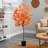 Faux Maple Tree in Pot Liner-493693714-493551743
