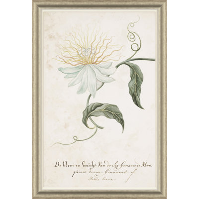 Flower On A Passion Tree Giclee Print by Paul Cezanne