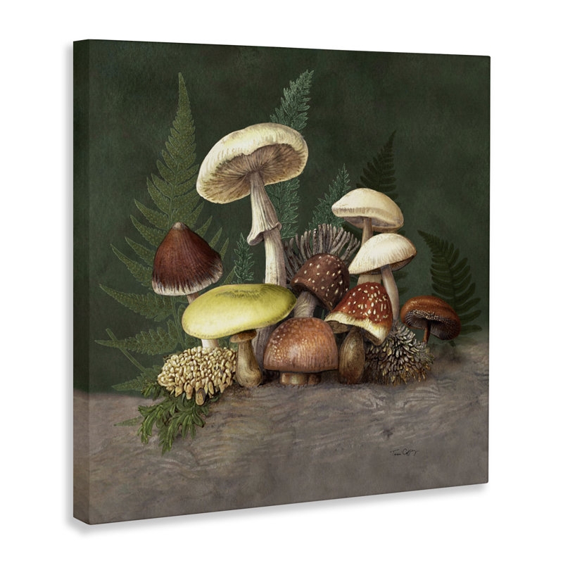 Champignons et fougères, toile de Tim Coffey, H 17 po x l 17 po