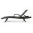 Blaise Outdoor Chaise Lounge Set , Cushion Included-2067359608