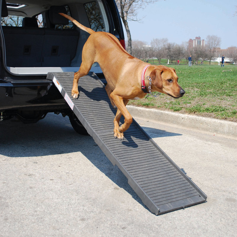 Bly Collapsible Ramp, Graphite